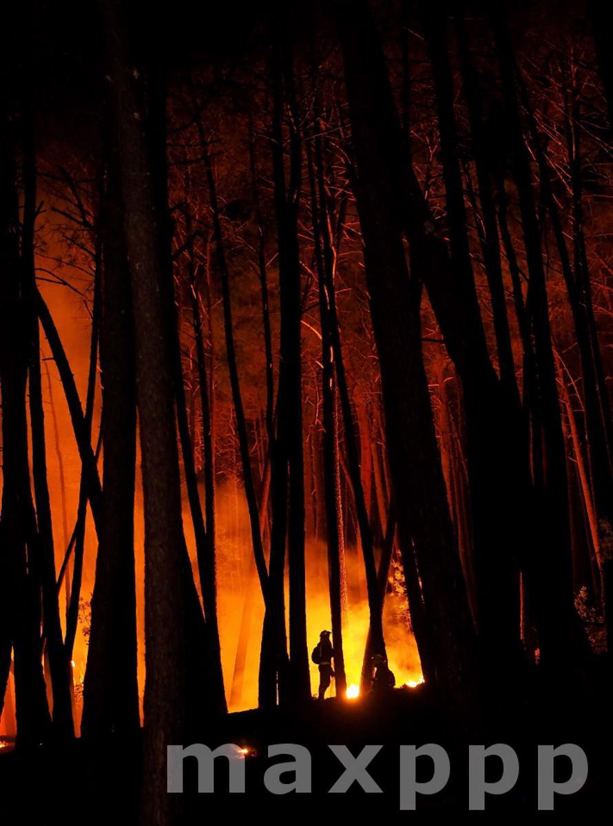 Forest Fire in Lugo
