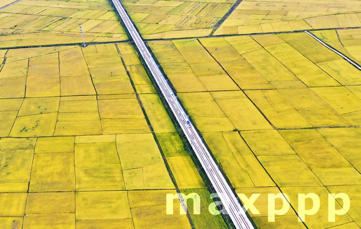 Fields