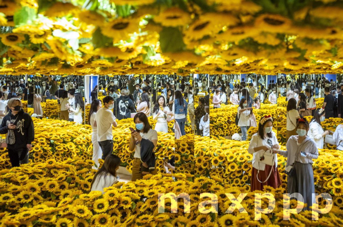 Exhibition Van Gogh alive in Beijing