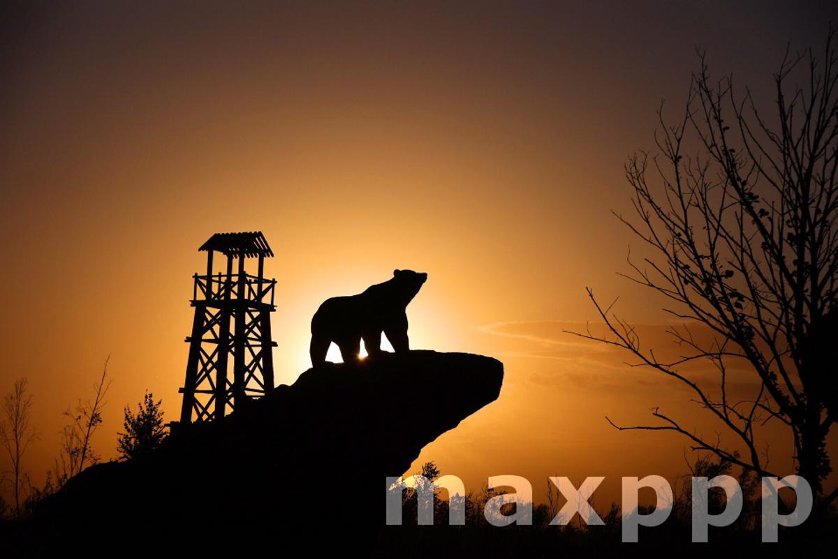 China Heilongjiang Black Bear Reserve
