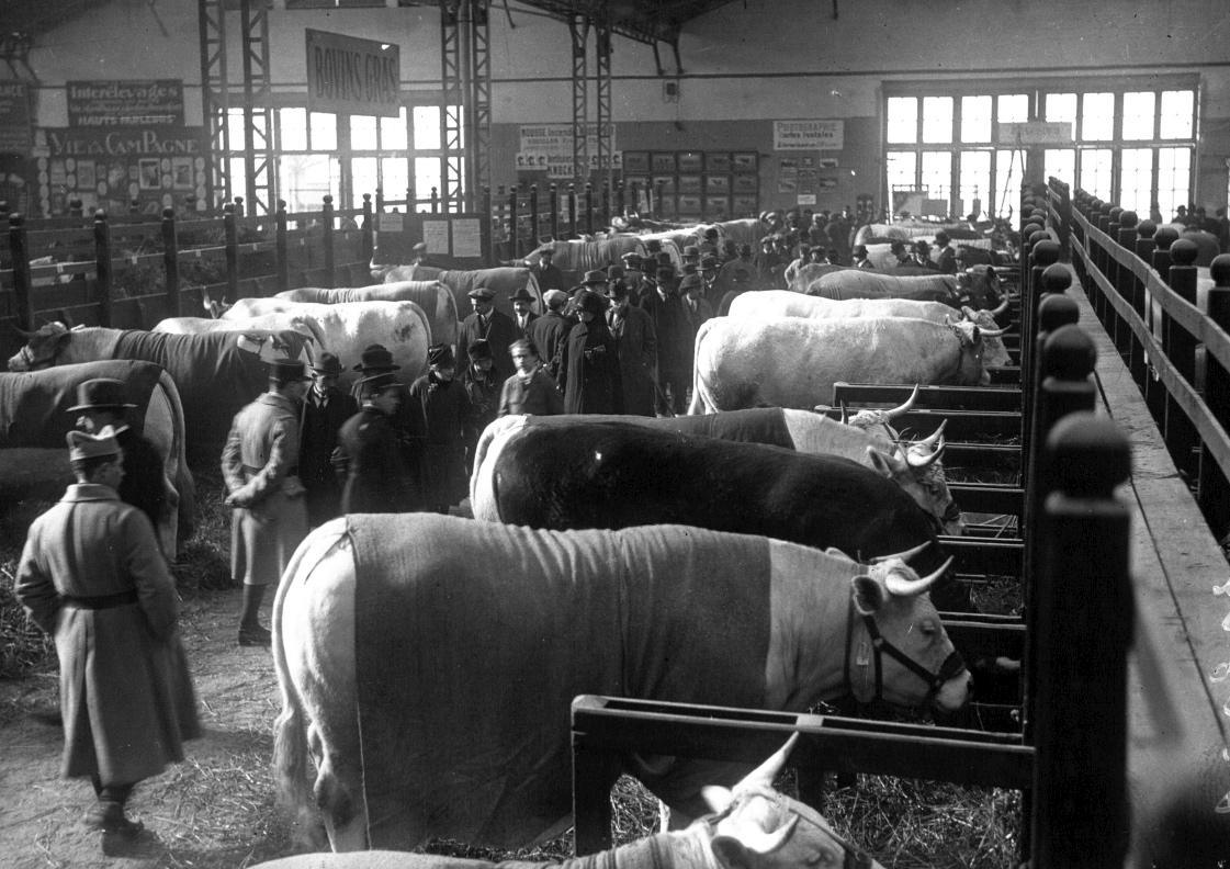 Concours agricole