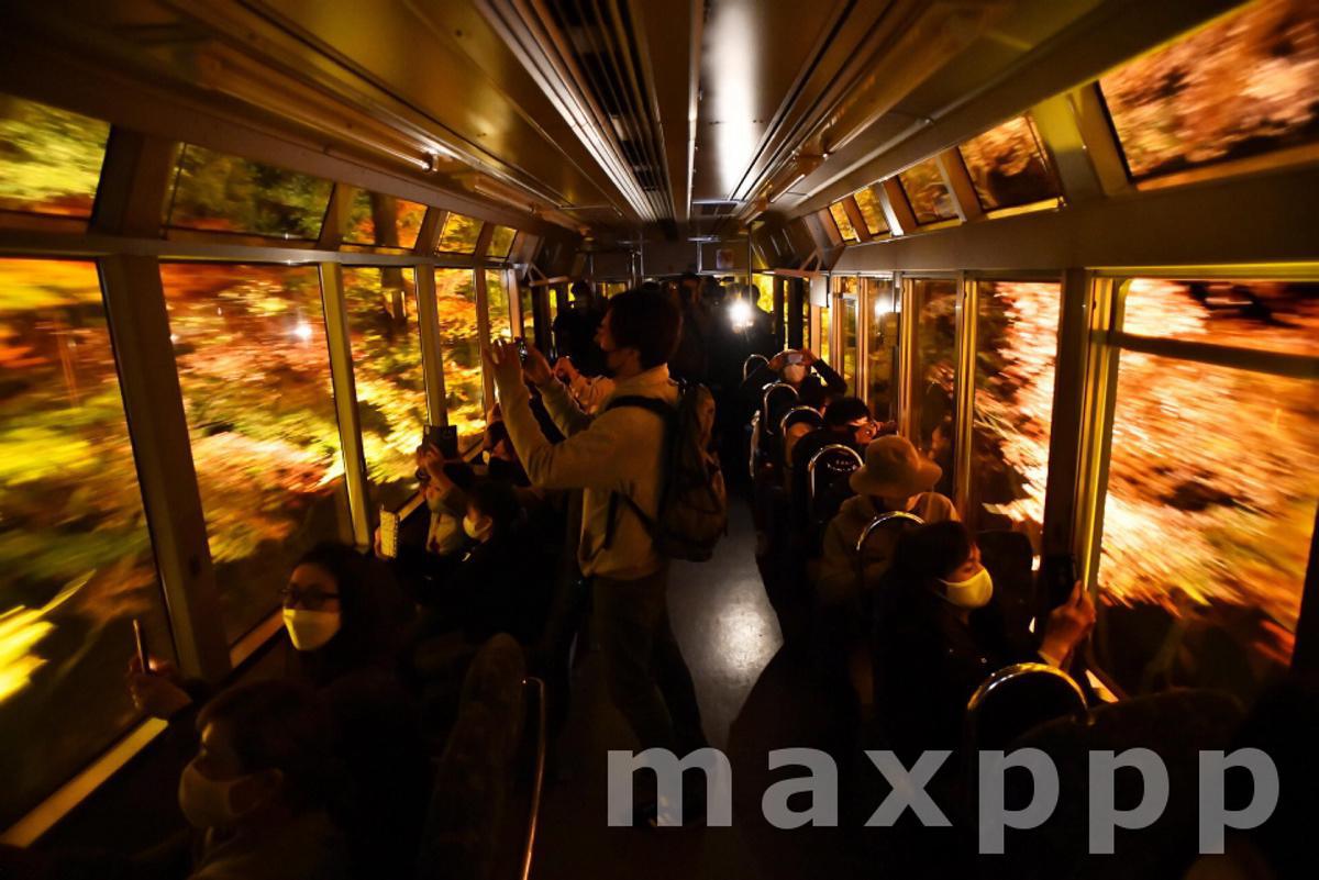 Train travels through maple trees in Kyoto