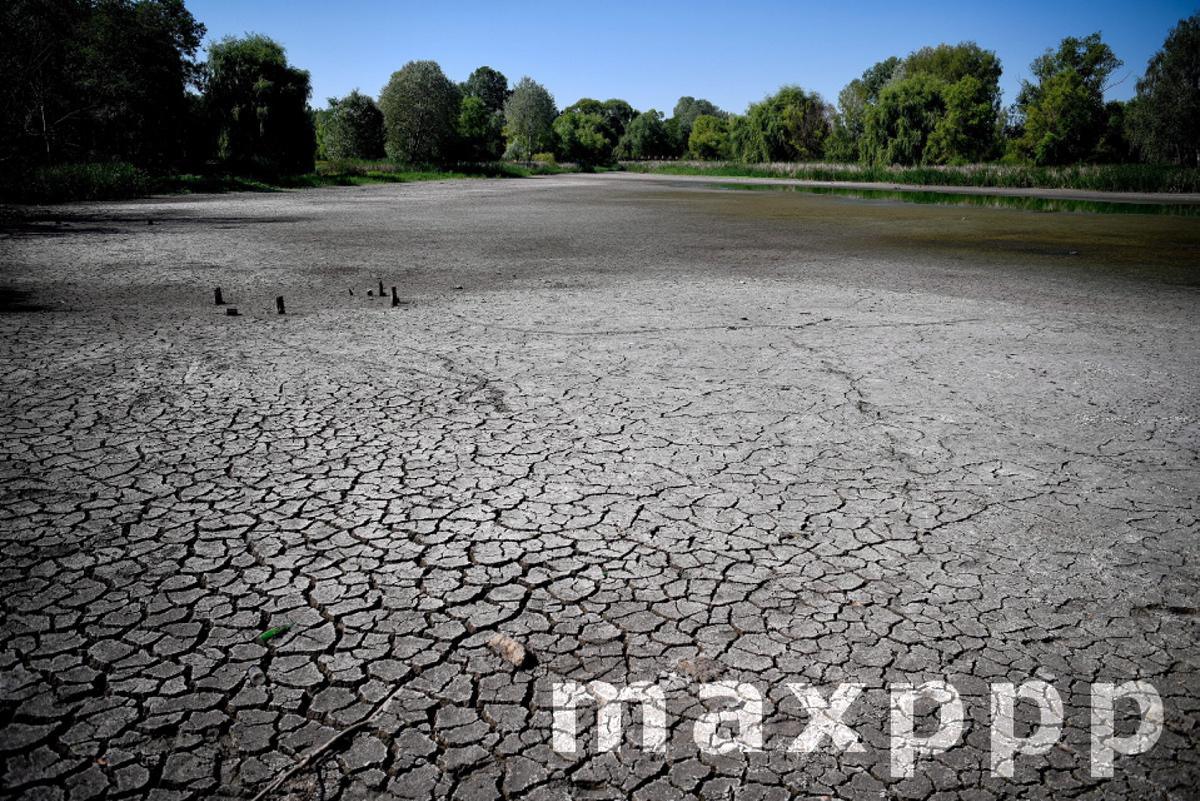 Drought in Hungary