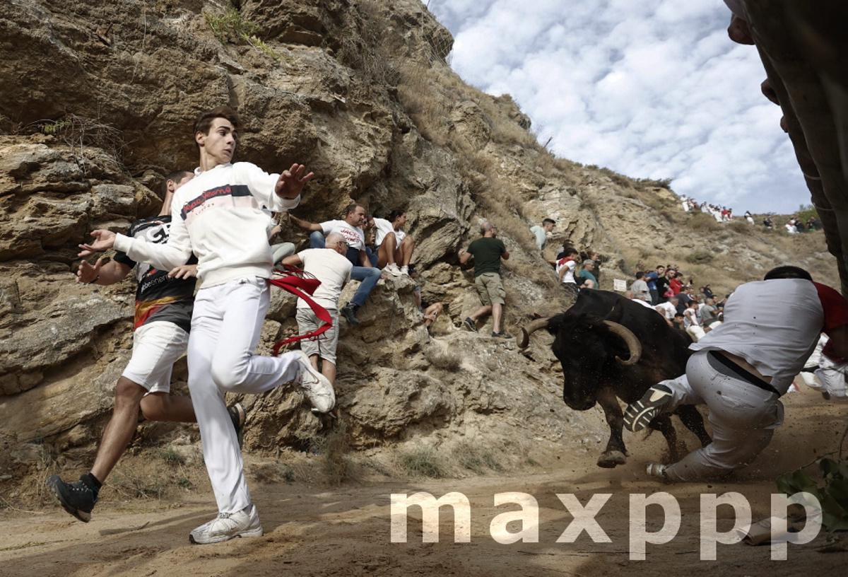 El Pilon running of the bulls