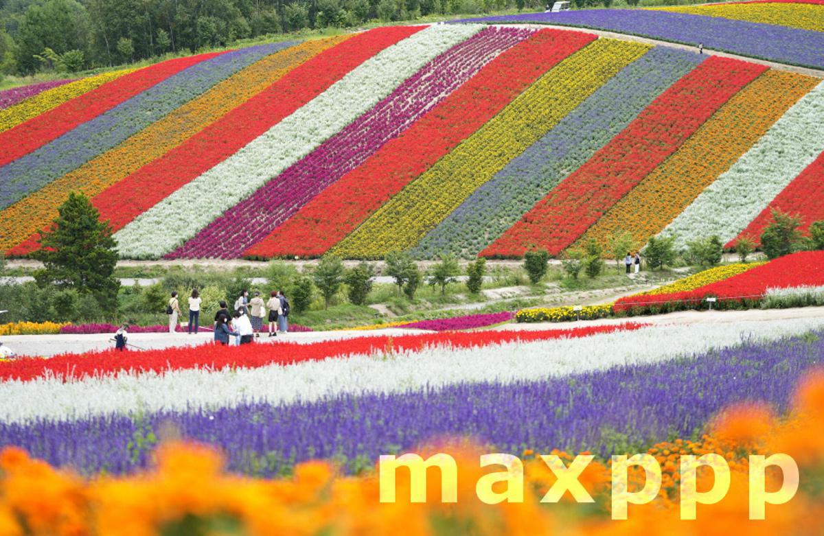 Flower garden in Hokkaido