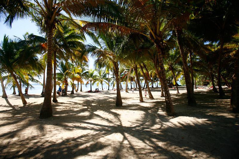 Bois Jolan beach Bois Jolan beach