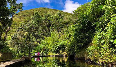 About Guadeloupe