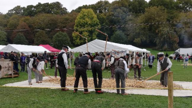 Pomme, cidre et fromage à Conches-en-Ouche : une fête pour mettre en valeur le terroir normand