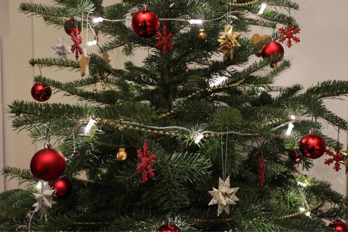 Après les fêtes, recyclez votre sapin : au Havre, des points de collecte sont mis en place dans toute la ville Après les fêtes, recyclez votre sapin : au Havre, des points de collecte sont mis en place dans toute la ville