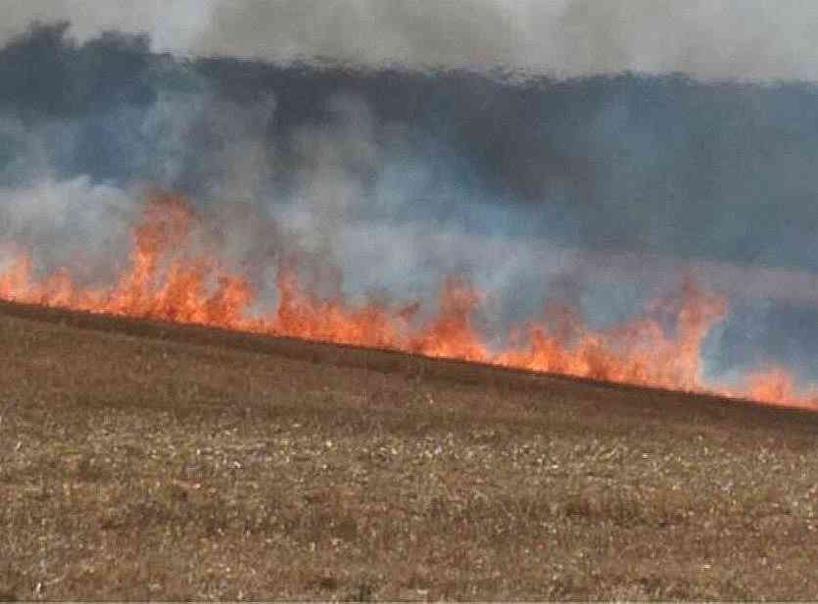 Eure. 15 hectares de récolte sur pied ravagés par le feu à La Chapelle-du-Bois-des-Faulx