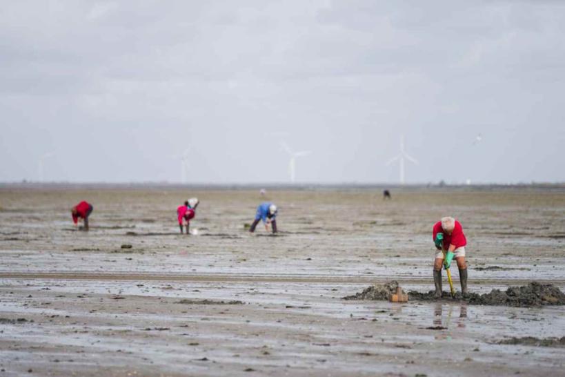 Grandes marées sur les côtes normandes : appel à la prudence de la préfecture maritime