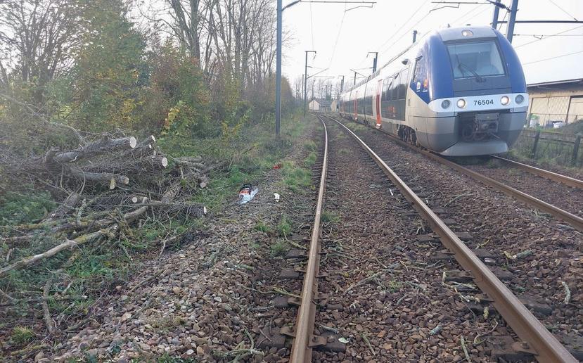 En Normandie, le trafic SNCF reprend ce dimanche après le passage de la tempête Bert En Normandie, le trafic SNCF reprend ce dimanche après le passage de la tempête Bert