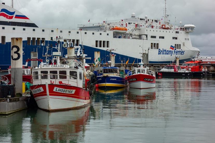 Un docker chute de six mètres sur le port du Havre : son pronostic vital est engagé 