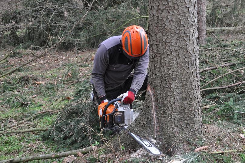 Un homme grièvement blessé, écrasé par l’arbre qu’il tronçonnait à Pullay, dans l’Eure