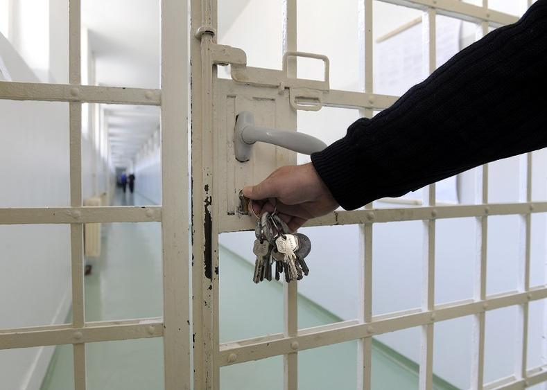 Interpellé à Limay (Yvelines) dans une affaire de maltraitance animale, un homme agresse violemment les policiers 