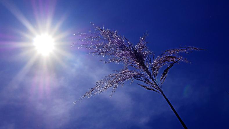 Fin du pic de pollution à l’ozone : les mesures levées en Seine-Maritime