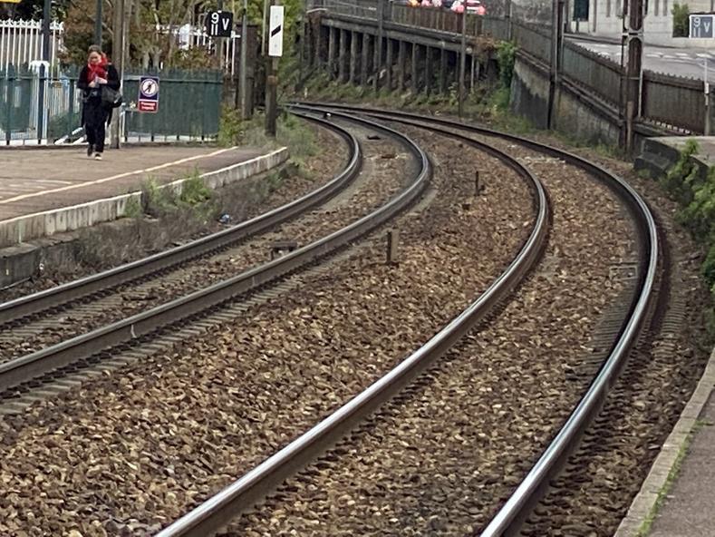SNCF. Circulation interrompue entre Serquigny et Elbeuf : un arbre sur les voies
