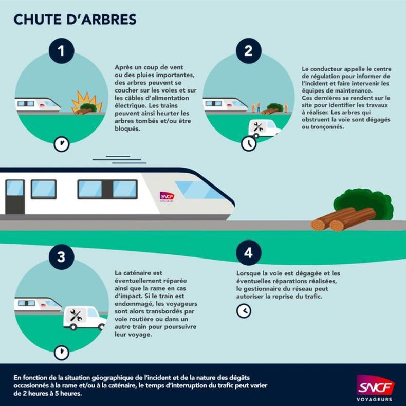 SNCF. Circulation interrompue entre Serquigny et Elbeuf : un arbre sur les voies SNCF. Circulation interrompue entre Serquigny et Elbeuf : un arbre sur les voies
