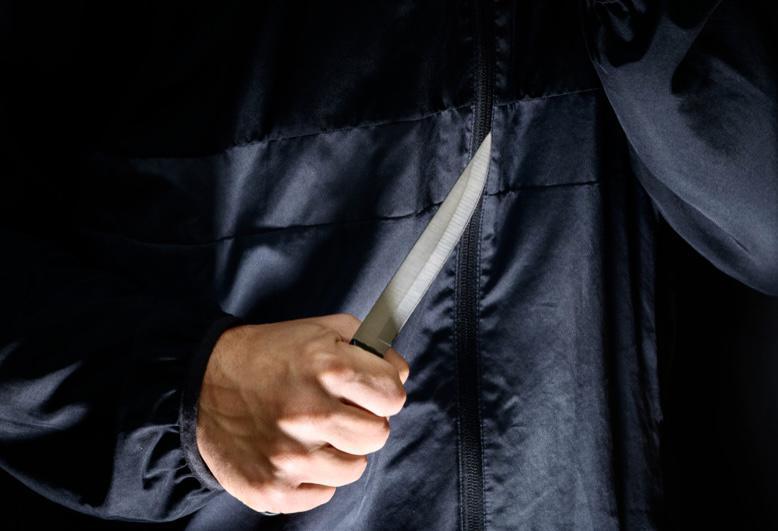 Flins-sur-Seine (Yvelines) : excédé par les travaux de son voisin, il menace les ouvriers avec un couteau de boucher