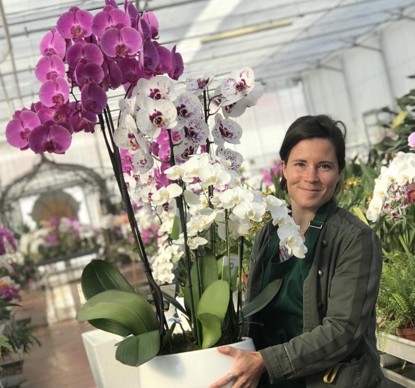 Eure : les orchidées sortent le grand jeu au château de Vascoeuil !