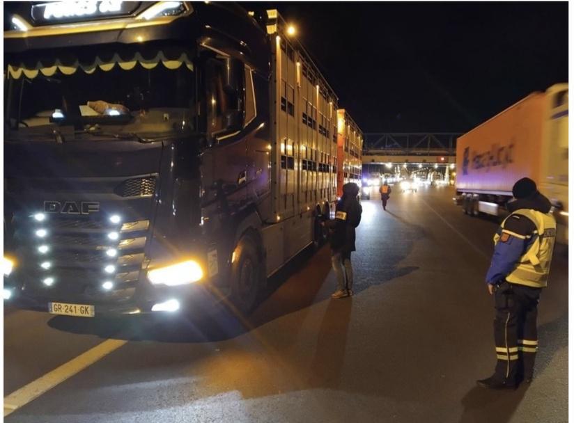 Dermatose nodulaire contagieuse : contrôles renforcés sur les transports de bovins en Seine-Maritime Dermatose nodulaire contagieuse : contrôles renforcés sur les transports de bovins en Seine-Maritime