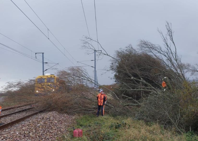 Un arbre tombé sur les voies et heurté par un train perturbe la ligne Rouen–Dieppe