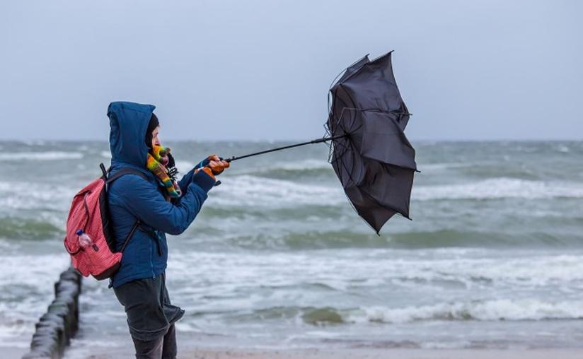 Tempête Goretti : des rafales de vent de plus de 110 km/h en Seine-Maritime et dans l'Eure
