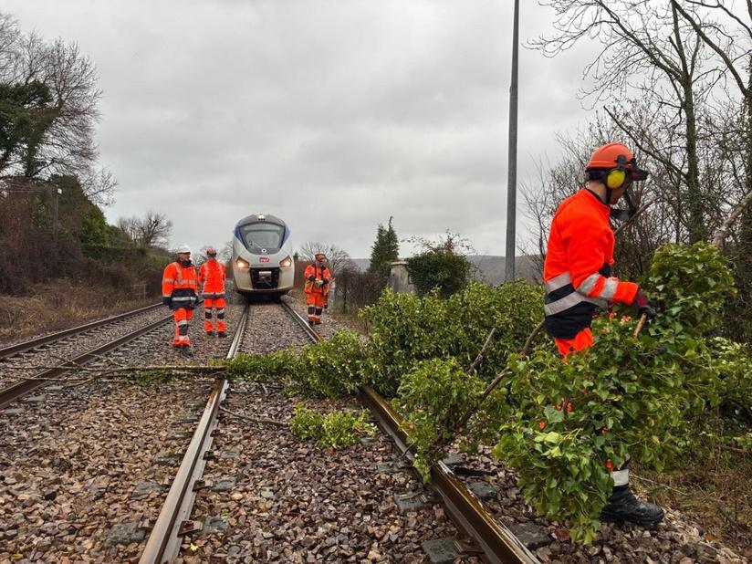 Tempête Goretti en Seine-Maritime : 15 000 foyers encore privés d’électricité, plusieurs lignes SNCF toujours à l’arrêt