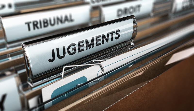 Cerf abattu dans la propriété de Luc Besson : deux chasseurs condamnés à Argentan (Orne)