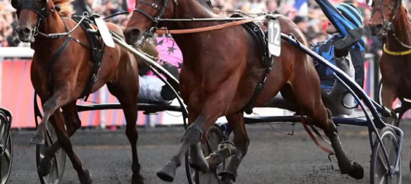 Calvados : un parieur décroche 335 999 € au Quinté+ spOt à Blainville-sur-Orne Calvados : un parieur décroche 335 999 € au Quinté+ spOt à Blainville-sur-Orne