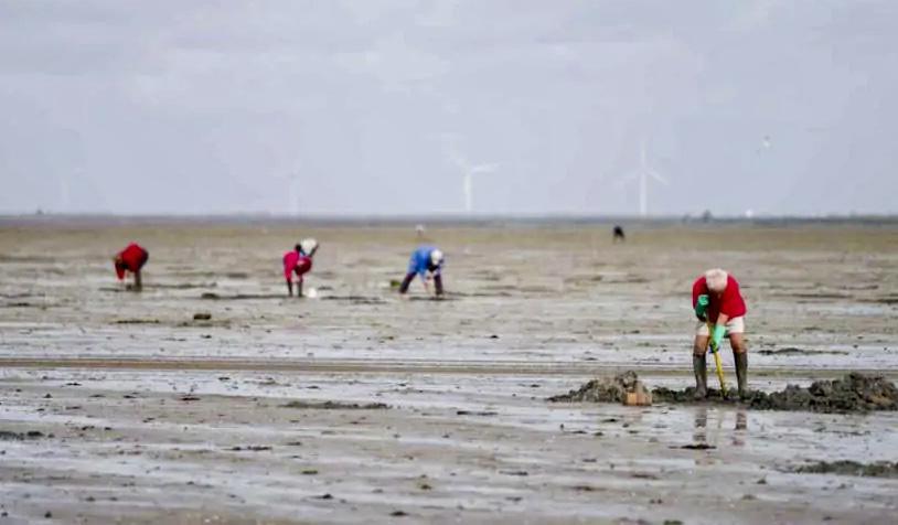 Grandes marées : vigilance renforcée sur tout le littoral normand du 2 au 5 février Grandes marées : vigilance renforcée sur tout le littoral normand du 2 au 5 février