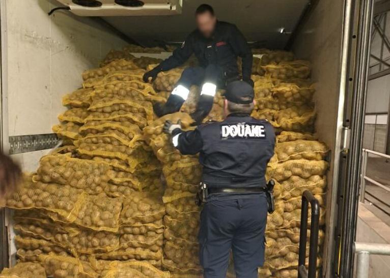 Saisie sur le port de Cherbourg : 8,4 tonnes de cigarettes de contrebande parmi les pommes de terre Saisie sur le port de Cherbourg : 8,4 tonnes de cigarettes de contrebande parmi les pommes de terre