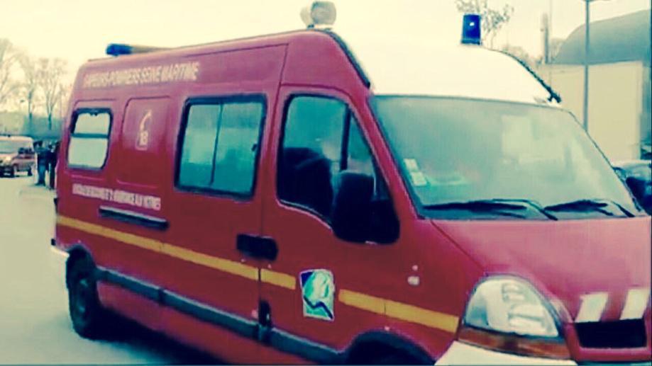 Isneauville : un chat secouru après une chute dans un puits de 4 mètres Isneauville : un chat secouru après une chute dans un puits de 4 mètres