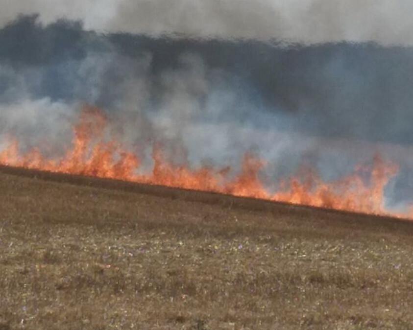 Incendie : 15 000 m² de végétation ravagés par les flammes ce soir à Petit-Couronne