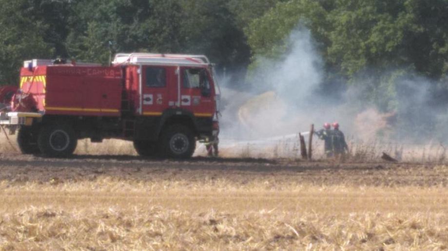 Petit-Couronne : le feu de végétation éteint, les pompiers traquent encore les points chauds