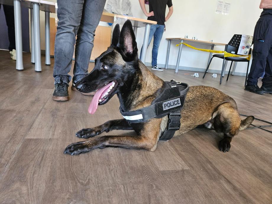 Police nationale : les portes ouvertes se poursuivent jusqu’à 17h30 à Rouen Police nationale : les portes ouvertes se poursuivent jusqu’à 17h30 à Rouen