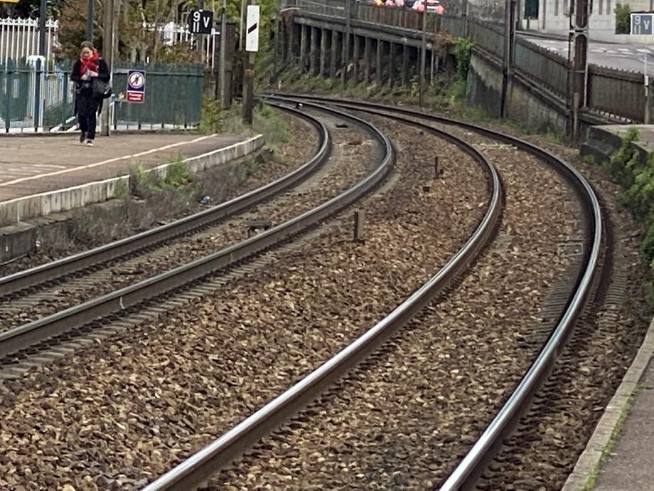 Accident de personne à Rosny-sur-Seine : trafic ferroviaire interrompu entre Paris et la Normandie Accident de personne à Rosny-sur-Seine : trafic ferroviaire interrompu entre Paris et la Normandie