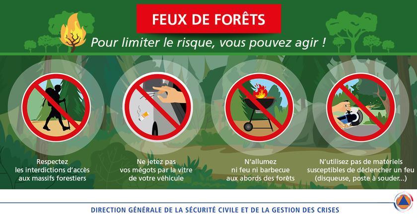 Feux de végétation en Seine-Maritime : ces imprudences qui peuvent tout embraser