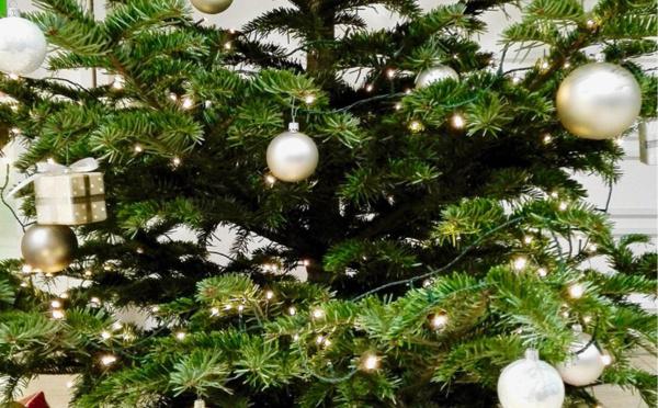 Recyclage des sapins de Noël : au Havre, des points de collecte sont mis en place dans toute la ville