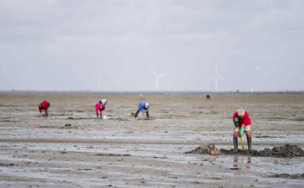 Grandes marées sur les côtes normandes : appel à la prudence de la préfecture maritime