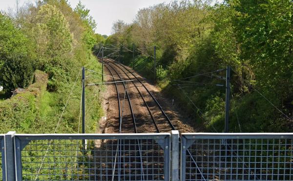 Maîtrise de la végétation aux abords des voies : 18 millions d’euros investis sur le réseau ferroviaire normand