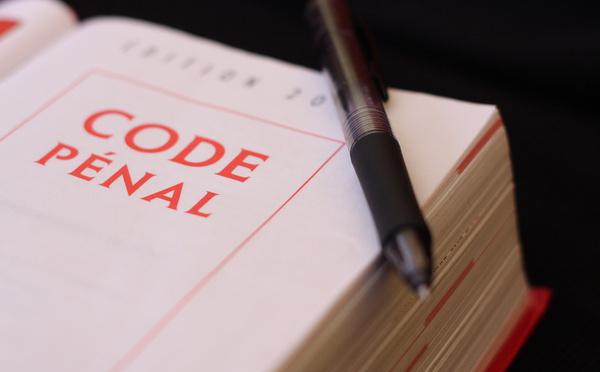 Affaire du cerf de Luc Besson : l’association Stéphane Lamart fustige « des réquisitions indignes face à la cruauté des faits »