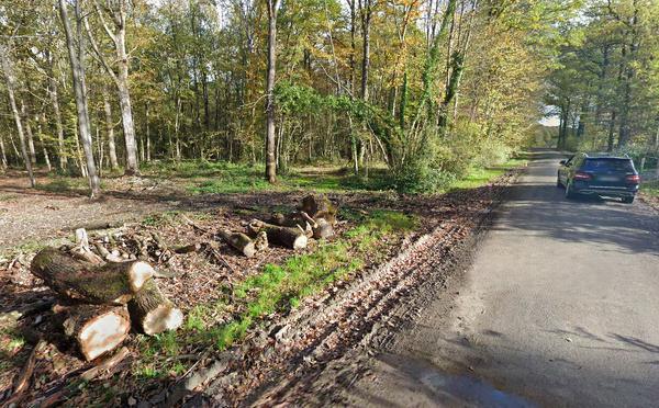 Eure. L’intervention d’un chasseur sauve un quinquagénaire après un accident de buggy dans un bois