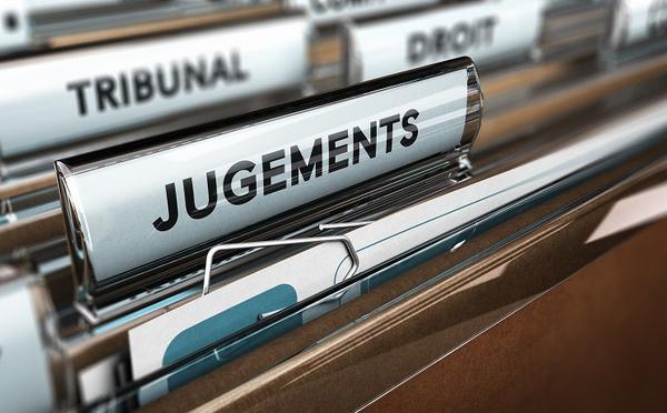 Cerf abattu dans la propriété de Luc Besson : deux chasseurs condamnés à Argentan (Orne)