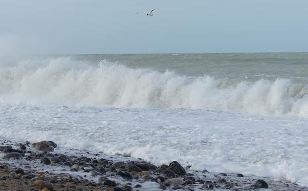 Météo. Vent force 8 et mer très forte attendus du Cotentin à Fécamp jusqu'à samedi midi