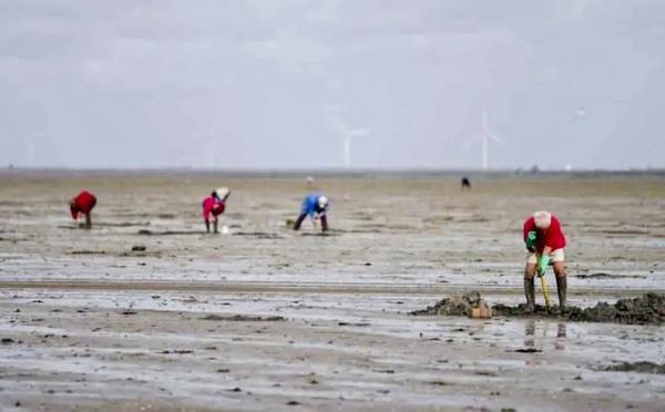 Grandes marées : vigilance renforcée sur tout le littoral normand du 2 au 5 février