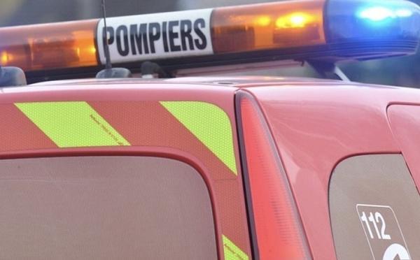 Maromme : un feu d’appartement maîtrisé, un chat et un chien récupérés inconscients