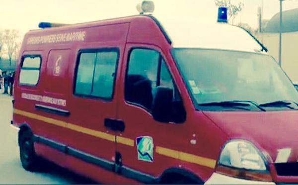 Isneauville : un chat secouru après une chute dans un puits de 4 mètres