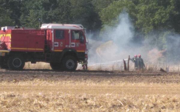 Petit-Couronne : le feu de végétation éteint, les pompiers traquent encore les points chauds