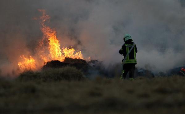 Eure : trois hectares d’herbe sèche détruits par un feu de champ à Douville-sur-Andelle